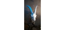 crane de bouctin ? deco cabinet de curosite