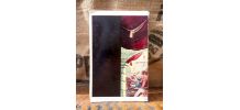 Histoire scandaleuse des papes par R et CH. Gagey