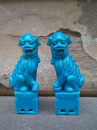 paire de chien de fo chine