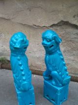 paire de chien de fo chine