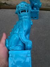 paire de chien de fo chine