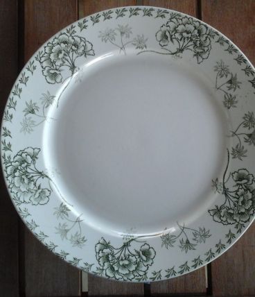 Plat sarreguemines