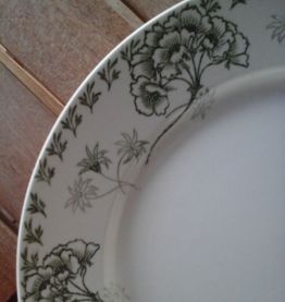 Plat sarreguemines