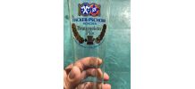 Verre  à biere