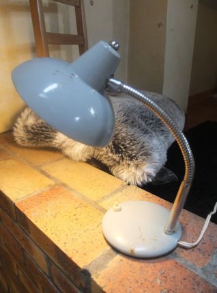 Lampe de bureau vintage style industriel 1950