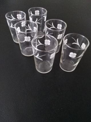 Lot de 6 verres