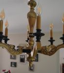 Lustre 6 branches