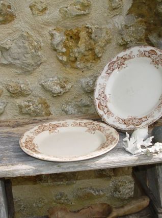 Duo d'assiettes fleuries Creil et Montereau