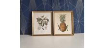 cadres lithographies fruits cadre doré