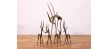 Gazelles Laiton