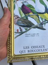 Joli cadre vintage 