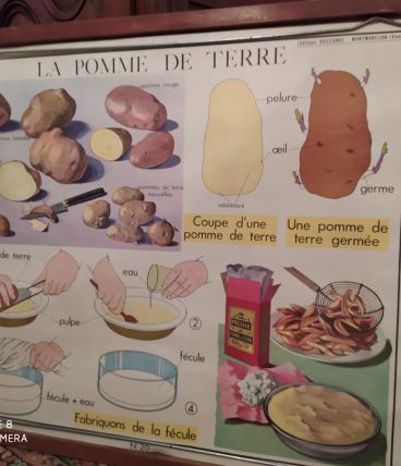 Affiche scolaire rossignol  vendu pièce 23 sorte d'affiche