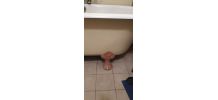 Baignoire en fonte sur pieds