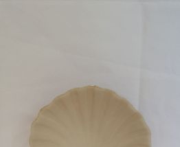 Coupelle coquillage 