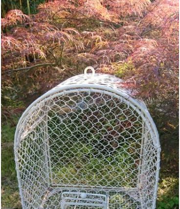 Cage à oiseaux 