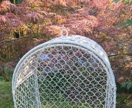 Cage à oiseaux 