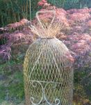 Grande cage à oiseaux 