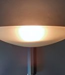 Paire d'appliques en verre sablé