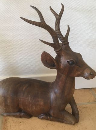 Animal jeune cerf 