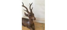 Animal jeune cerf 