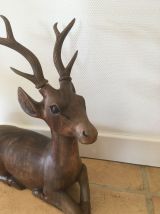 Animal jeune cerf 