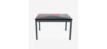 Table à manger 4/6 personnes design en bois massif coloré
