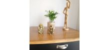 Lot de 2 singes en bronze doré 