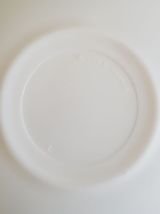 Lot de 2 tasses et soucoupes Arcopal  - Motif oiseaux faisan