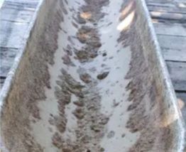 Ancienne auge à cochons en fonte patinée.  Idéal jardinière 