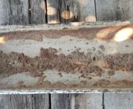 Ancienne auge à cochons en fonte patinée.  Idéal jardinière 