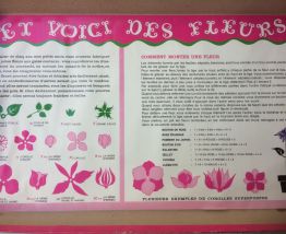 Et voici des fleurs