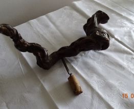 Pied de vigne 
