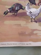 AFFICHE PÉDAGOGIQUE ANCIENNE RECTO/VERSO "POUCET ET SON AMI 