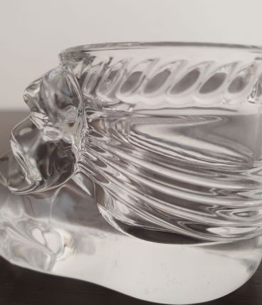 Ens naissance en cristal
