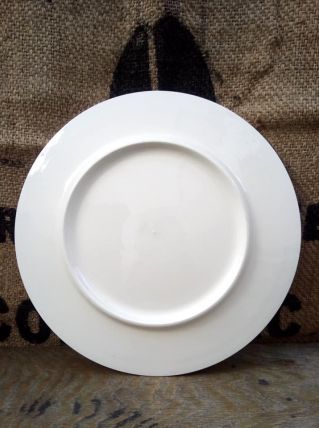 Jolie assiette décorative - Faïence de Delft