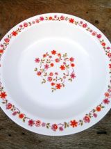 un saladier et un plat Arcopal - Collection Scania 