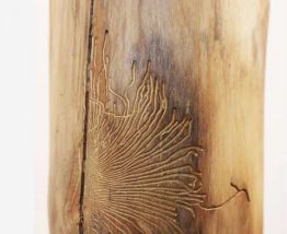 Lampe decorative