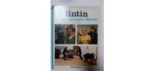 TINTIN ET LES ORANGES BLEUES, LES AVENTURES DE TINTIN AU CIN
