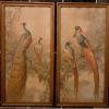 Lot de 2 illustrations encadrés couples Paons et Faisans 