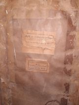 Lot de 2 illustrations encadrés couples Paons et Faisans 