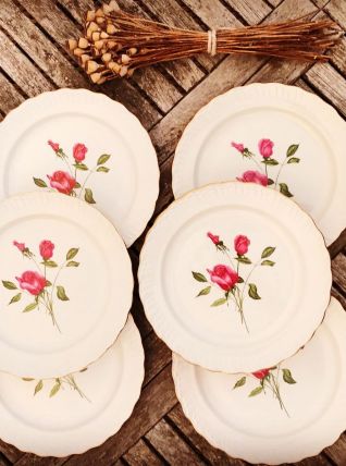 Série de 6 assiettes vintage en porcelaine 