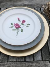 Série de 6 assiettes vintage en porcelaine 