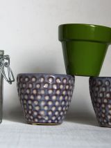 Lot de trois petits pots de fleurs plus boite verre