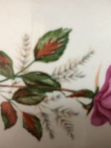 Sucrier vintage Digoin Sarreguemines modèle Roses