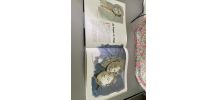 Livre Edith Piaf 