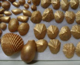 Lot véritables coquillages dorés déco Noël NEUFS 