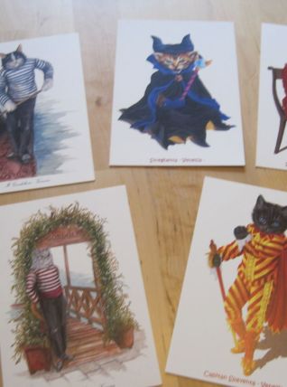 5 CARTES POSTALE VENISE                                     