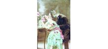 Chats amoureux  retros 1900. Photomontage. 