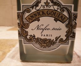Flacon vapo vide verre céladon Annick Goutal plus édité