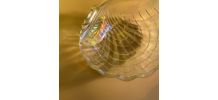 Grand vide poche Coquillage transparent.